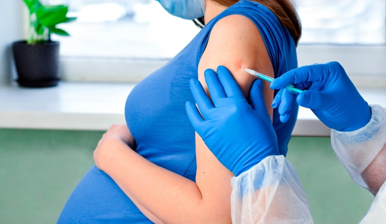 Empregada doméstica gestante