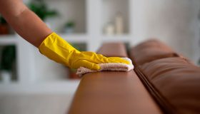 Patrão doméstico pode disponibilizar a empregada