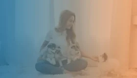 animais de estimação