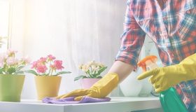 5 tipos de acordo entre patrões e domésticas permitidos pela lei