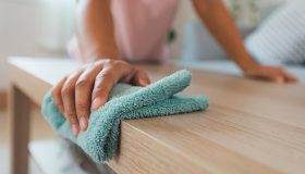 empregada doméstica