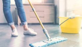 Adiantamento de férias: Descubra se é possível adiantar as férias do empregado doméstico com menos de um ano