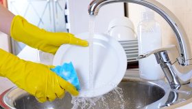 PADRÃO-FOTO-DOMÉSTICA