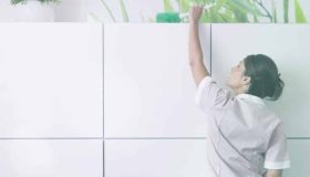 Passo a passo para cadastro de contribuição sindical do empregado doméstico