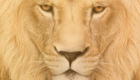 programa do Imposto de Renda 2016