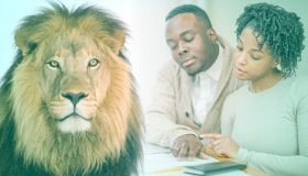 Imposto de Renda 2017