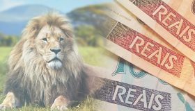 eSocial libera Informe de Rendimento