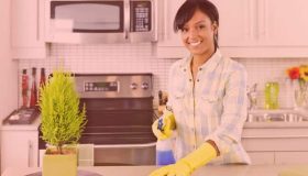 Pisos salariais dos empregados domésticos 2016 seguem sem definição