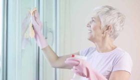 aposentadoria empregada doméstica