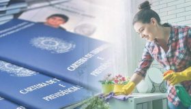 carteira de trabalho
