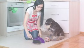 tarfas-no-contrato-da-domestica